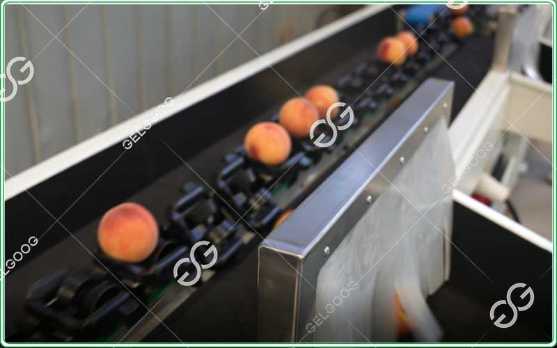 weight sorting machine