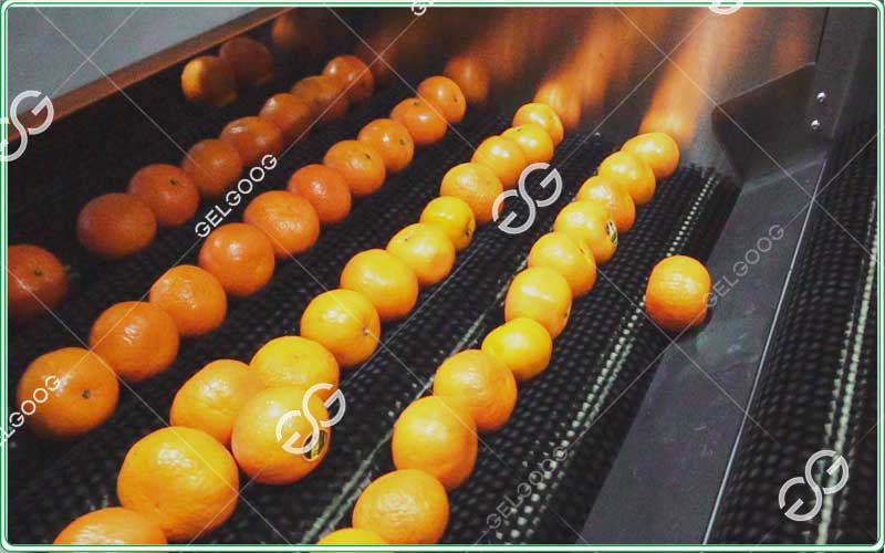 navel-orange-waxing-equipment