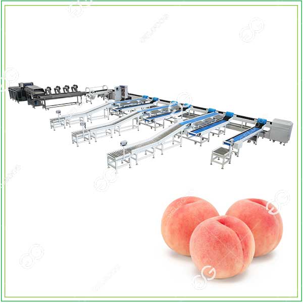Peach Grading Machine & Weight Sorting Machine