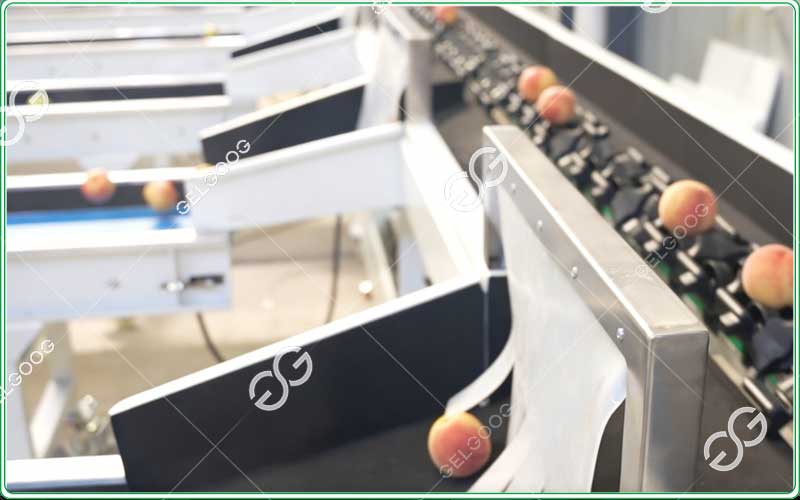 automatic fruit grading equipment