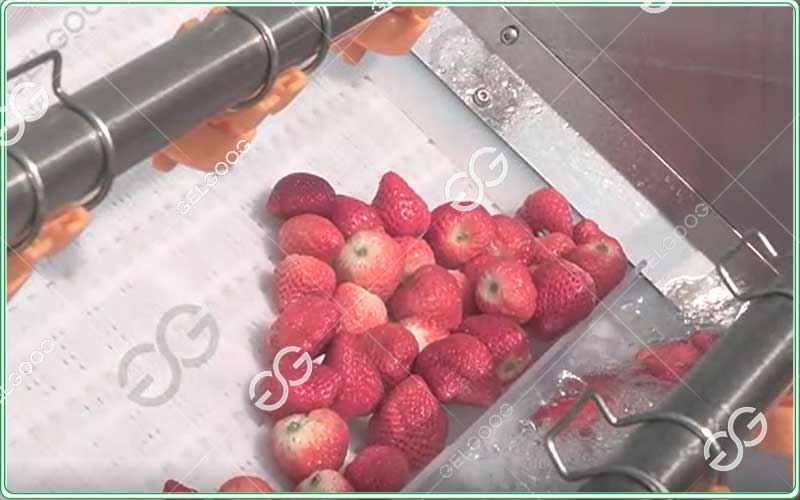 berry-sorting-machine