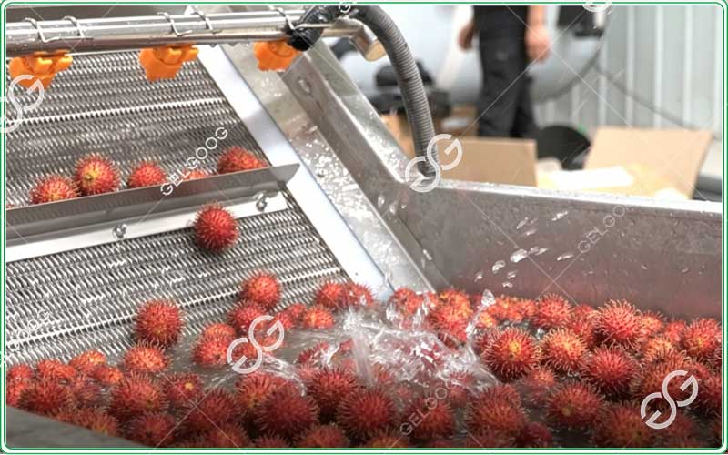 lychee cleaning equipment
