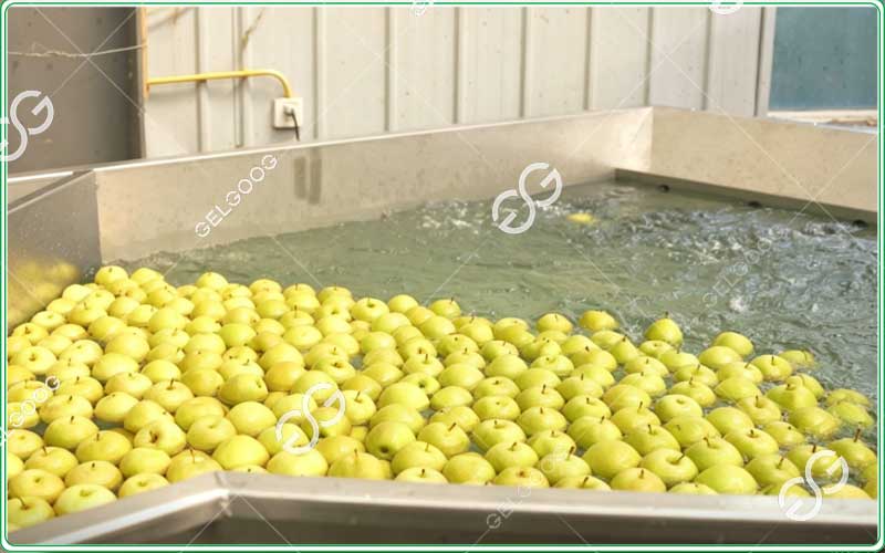 pear washing and grading line