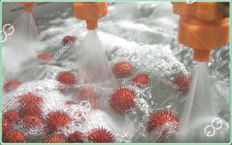 rambutan washing machine