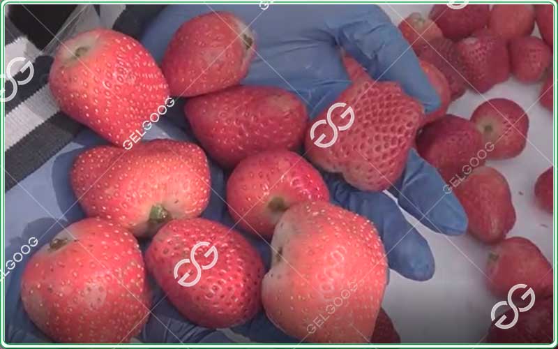 strawberry-color-sorter