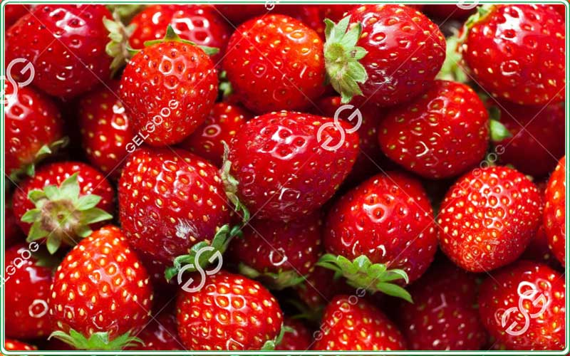 strawberry-grading-machine