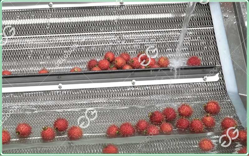 tropical fruit washer