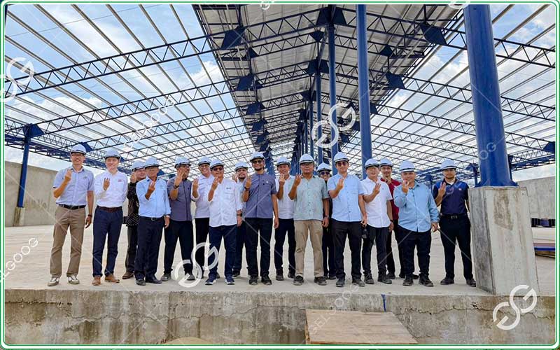 Pineapple sorting and grading lines