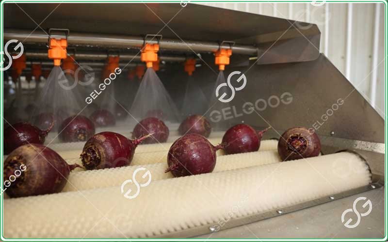 Beetroot-Washing-&-Drying-Machine