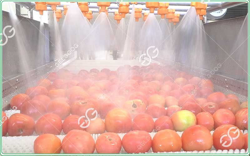 bubble-washer-for-tomatoes