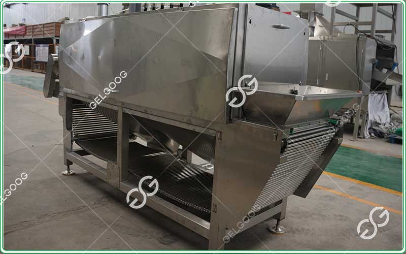 dry garlic peeling machine