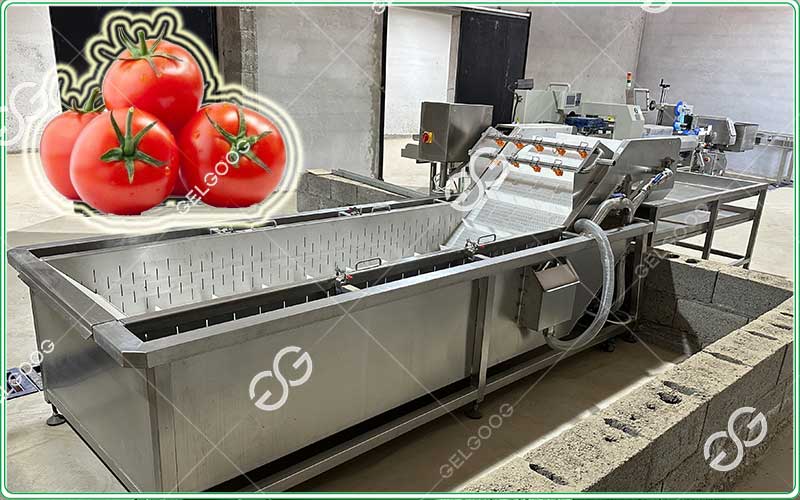 fruit-washing-line