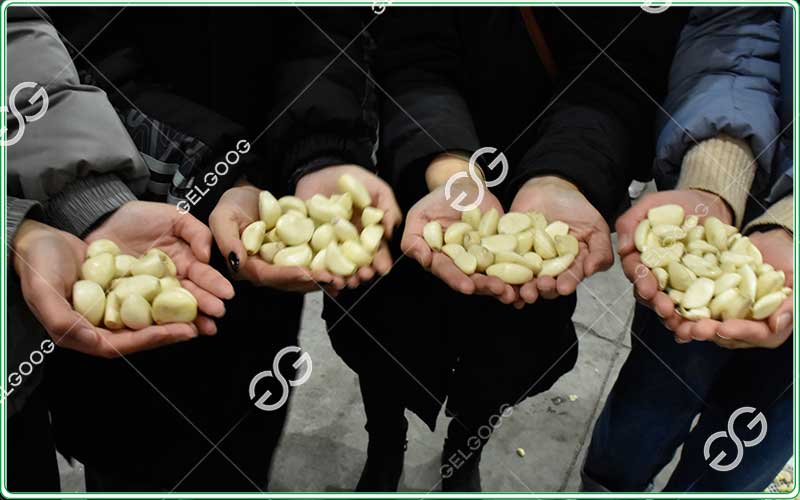 garlic clove peeler