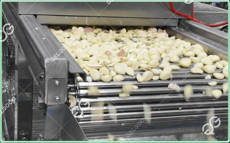garlic peeling machine