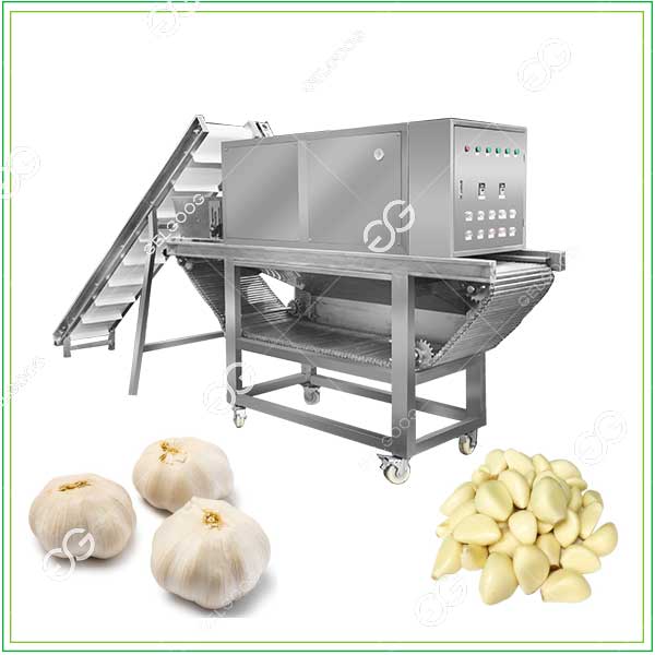 industrial garlic machine