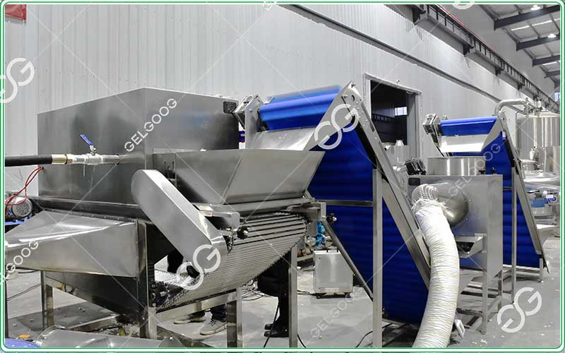 industrial garlic processing equipment