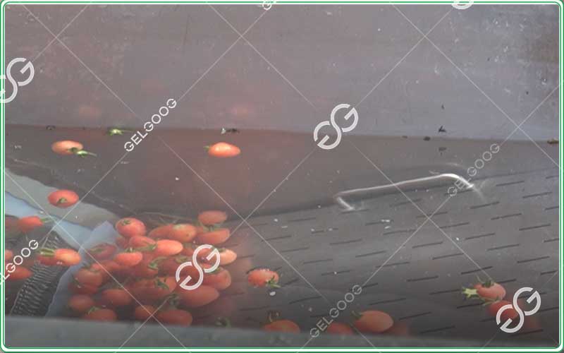tomato-washer-machine