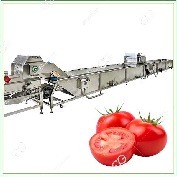 tomato-washing-equipment