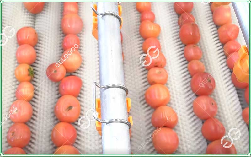 tomato-washing-machine