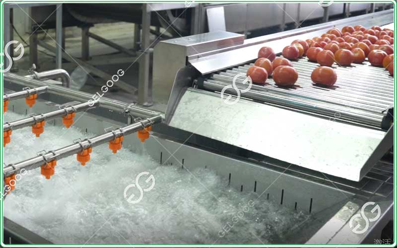 tomato-washing-machines