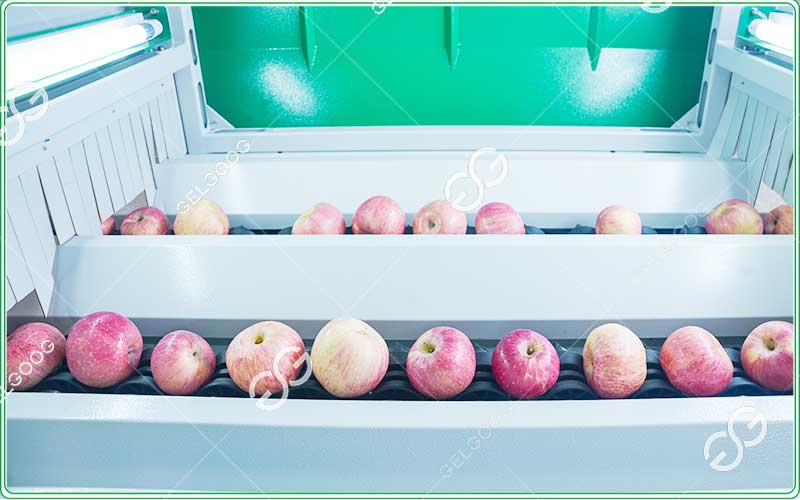 apple grading equipment