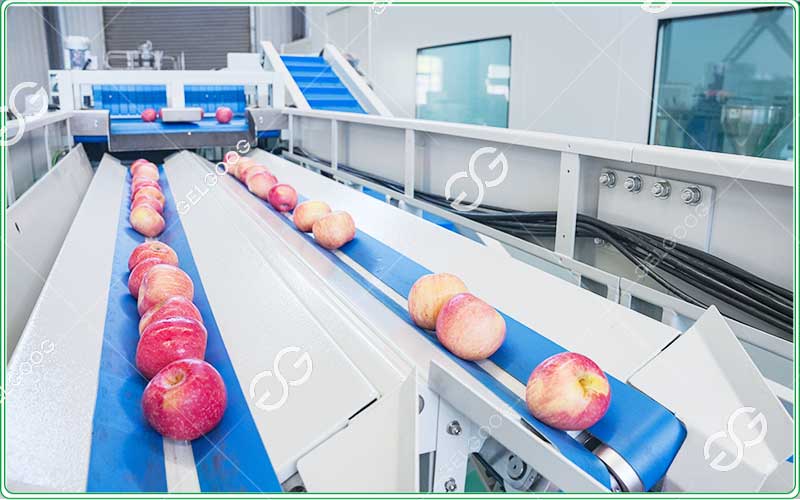 apple optical sorting machine