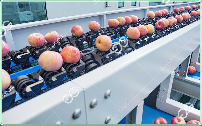 apple sorting machine
