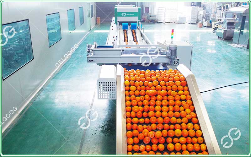 clasificador óptico para naranjas, máquina clasificadora de limones