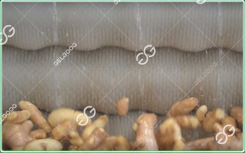 commercial ginger washer