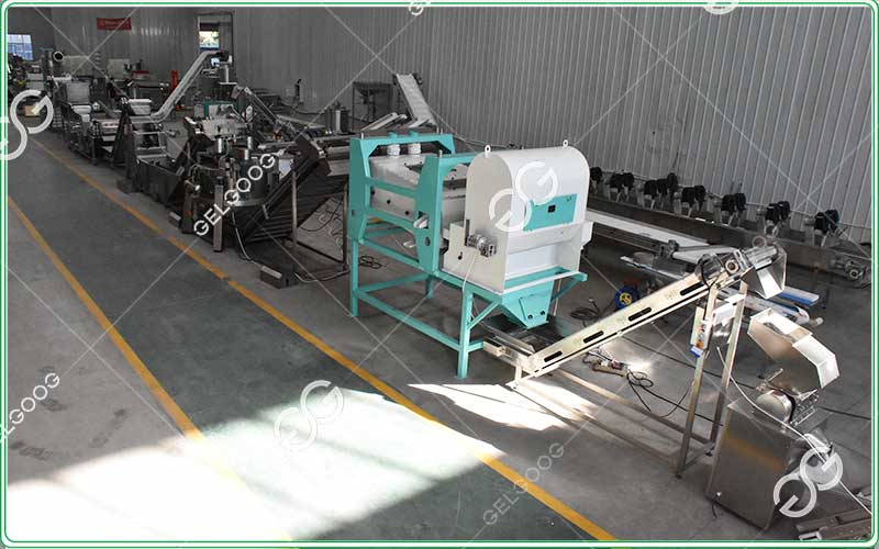 garlic processing line for Argentina