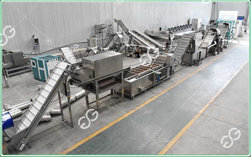 garlic peeling and sorting line Argentina