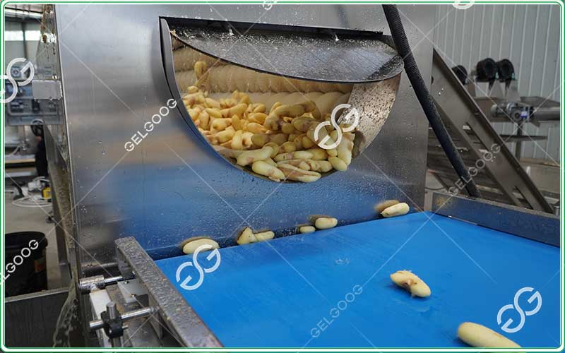 industrial ginger peeler