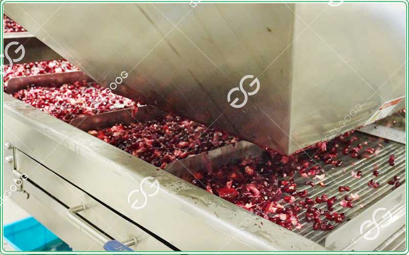 gelgoog-pomegranate-peeling-machine-factory