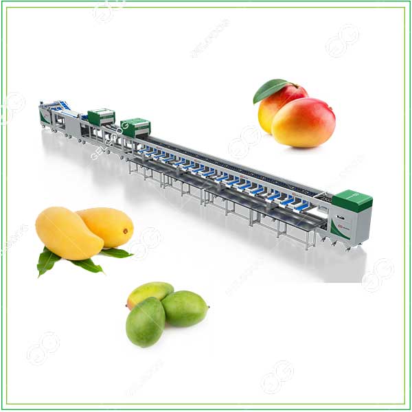 máquina clasificadora óptica de mangos
