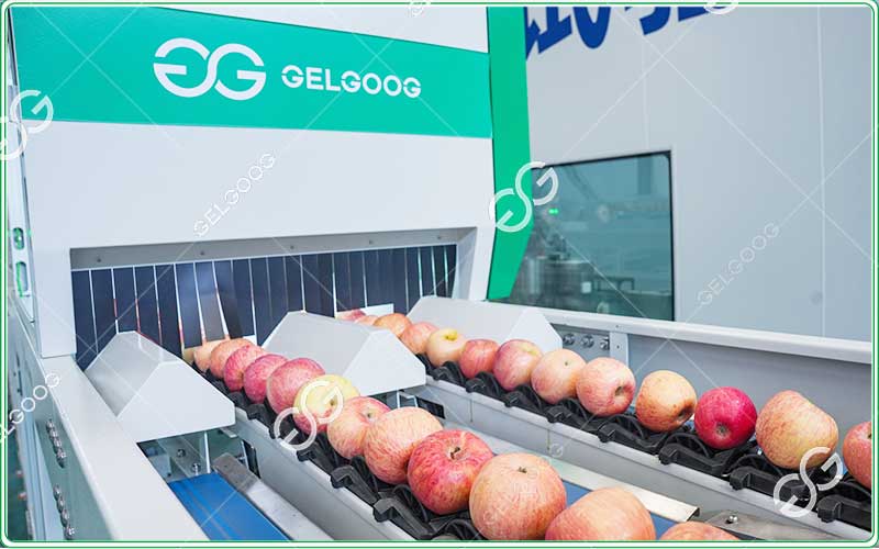 optical apple grader,