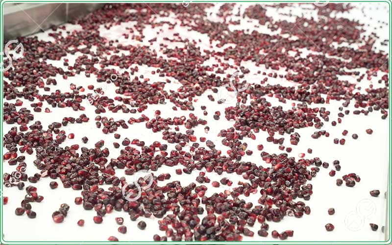 pomegranate-deseeder-equipment-parameters