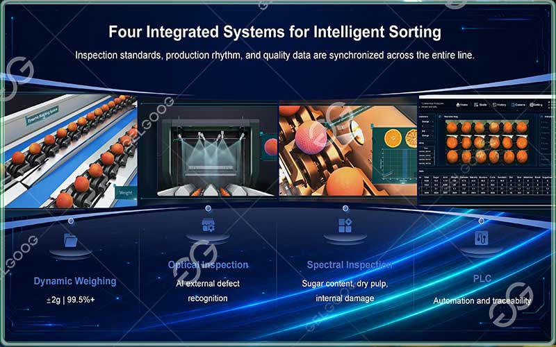 AI fruit sorting machine