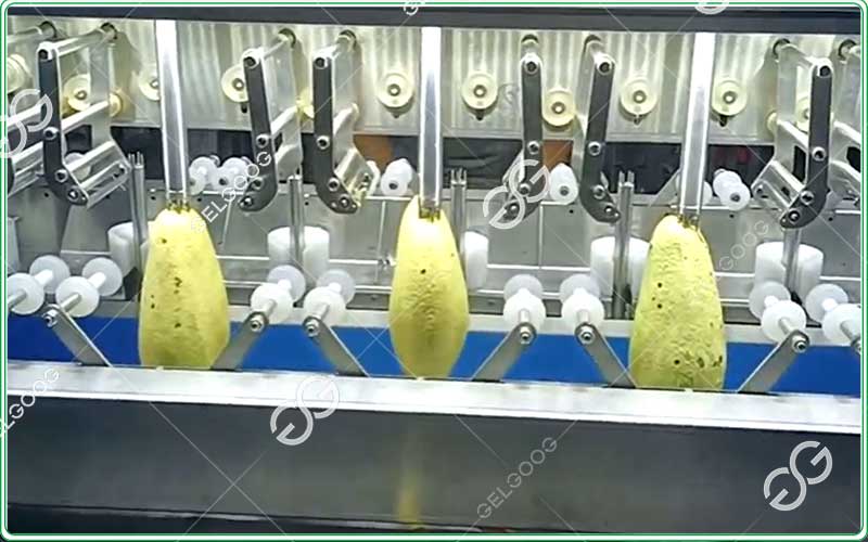 equipo automático para pelar aguacates