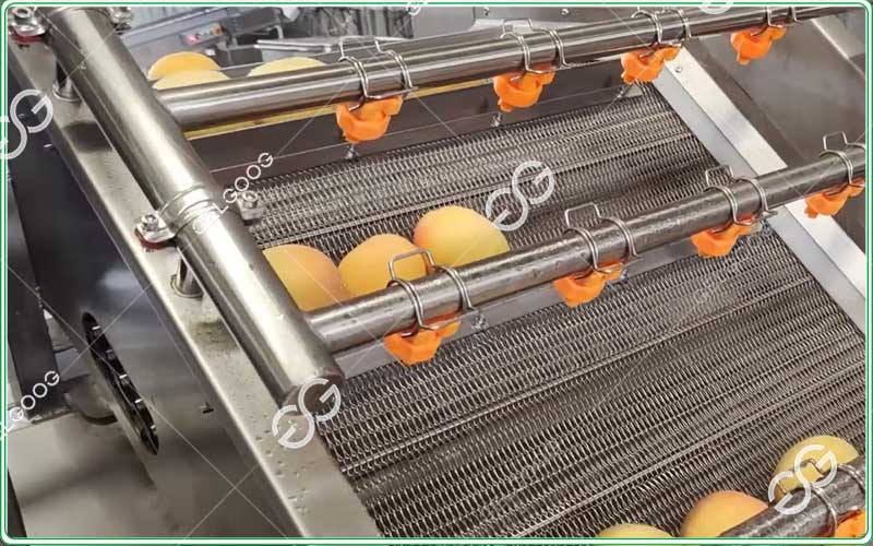 Equipo comercial para limpieza de frutas