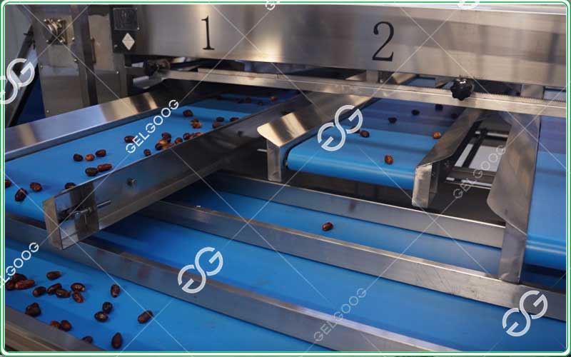 Date sorting machine