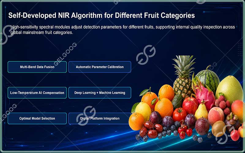 fruit sorting machine