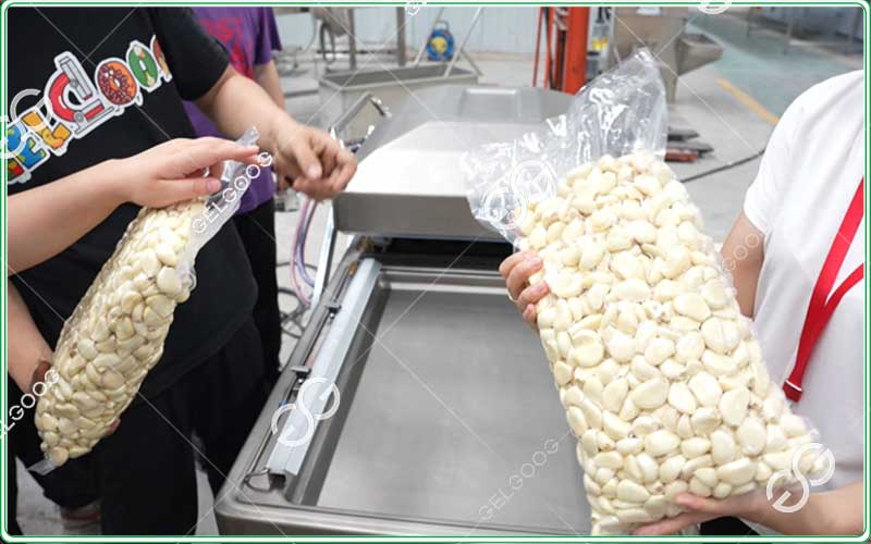 Empacadora al vacío de ajos industrial de doble cámara