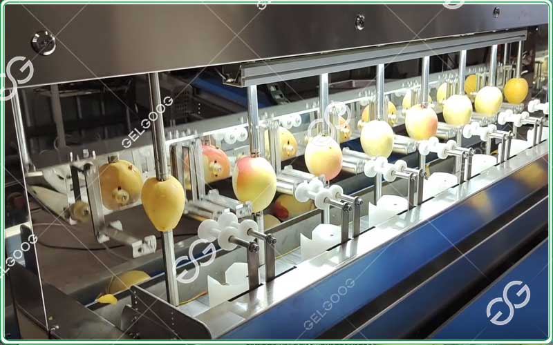 Peladora industrial de mangos