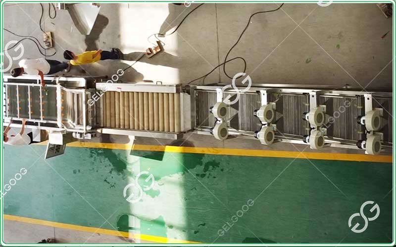 equipamiento industrial para la limpieza de zanahorias