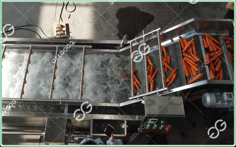 Lavadora industrial de zanahorias