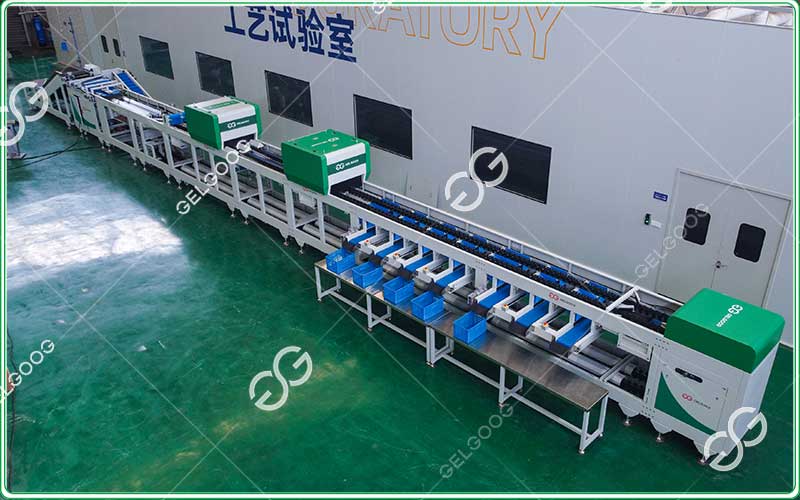 plum sorting machine