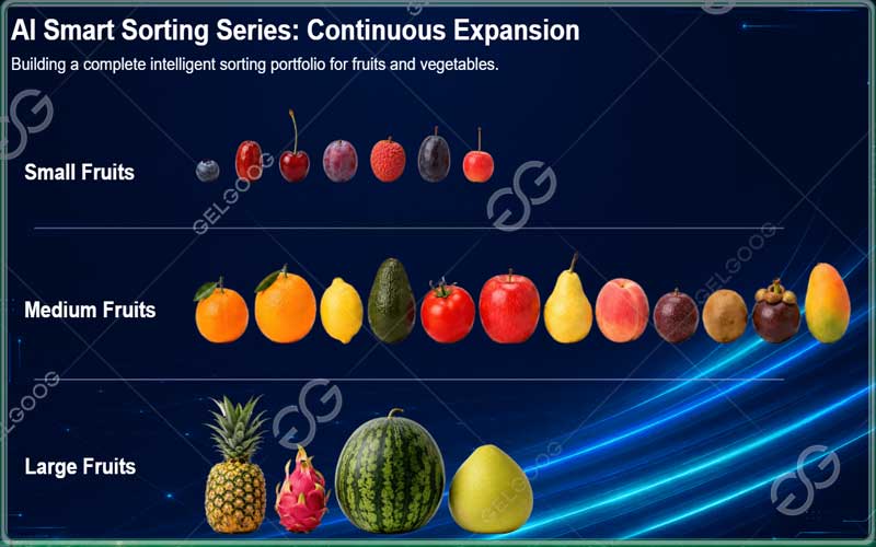 fruit optical sorting machine