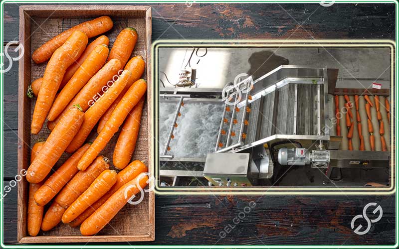 industrial carrot cooling system