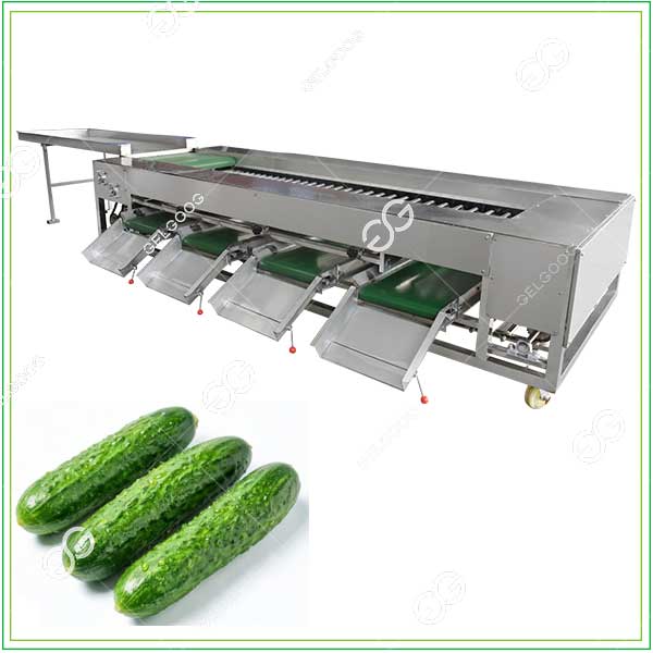 cucumber grading machine
