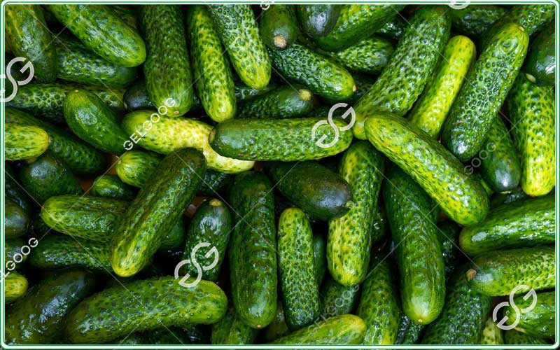 Cucumber grading production line